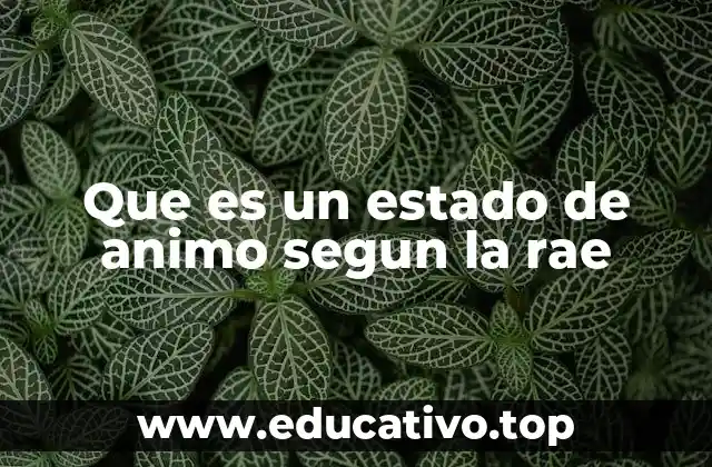 Cómo se manifiesta el estado de ánimo en la vida diaria