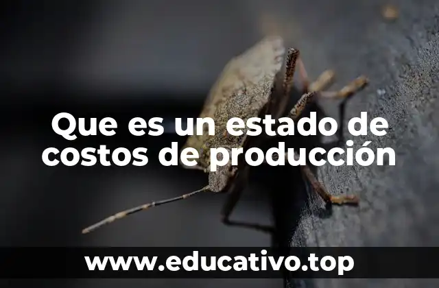 Que es un estado de costos de producción