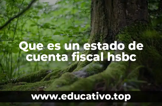 La importancia de contar con un estado de cuenta fiscal