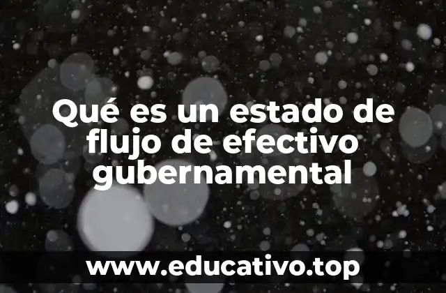 Qué es un estado de flujo de efectivo gubernamental