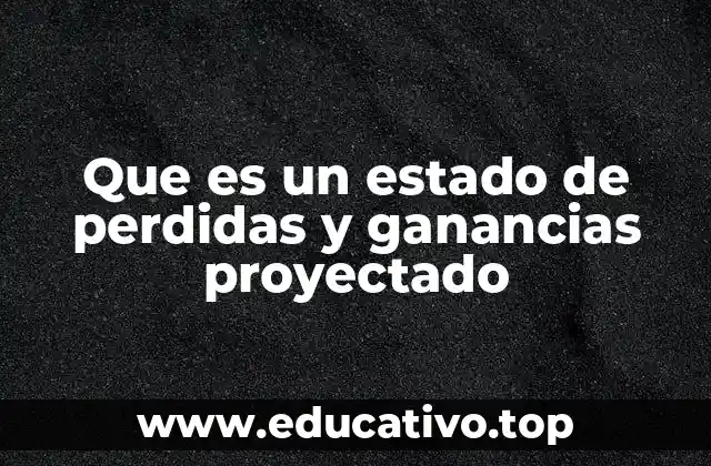 Que es un estado de perdidas y ganancias proyectado