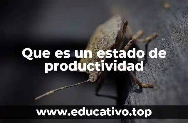 Que es un estado de productividad