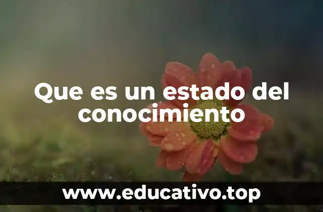 Que es un estado del conocimiento