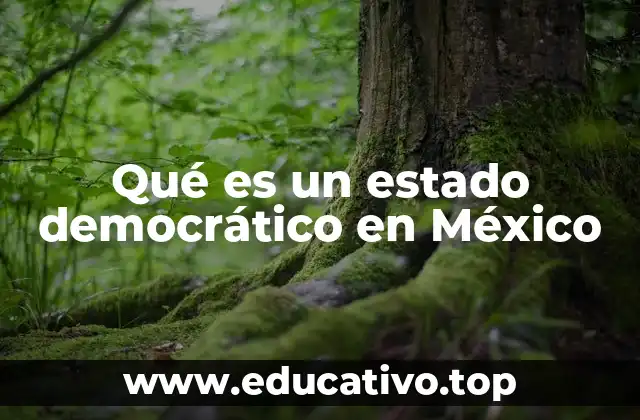 Qué es un estado democrático en México