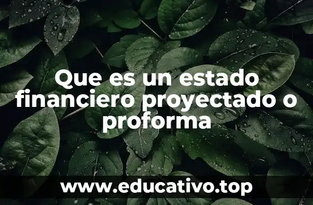Que es un estado financiero proyectado o proforma