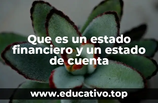 Que es un estado financiero y un estado de cuenta