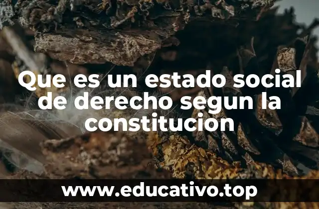 Que es un estado social de derecho segun la constitucion