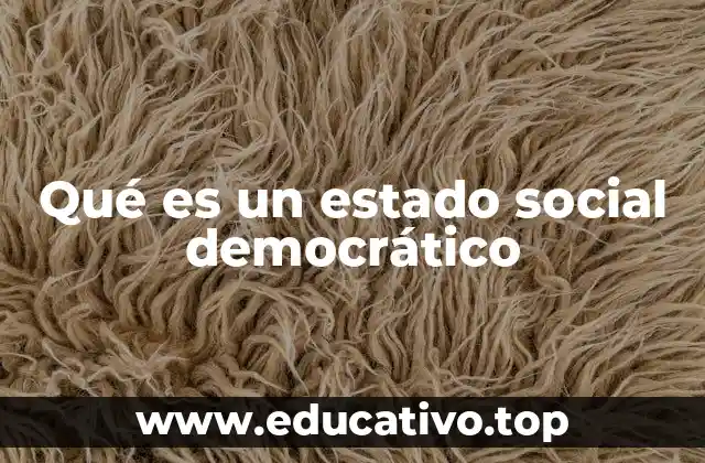 La importancia de la justicia social en la organización política