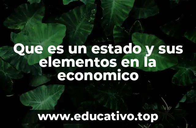 Que es un estado y sus elementos en la economico