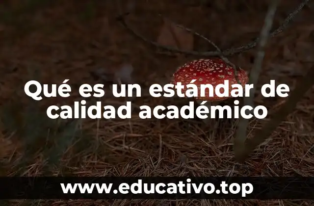Qué es un estándar de calidad académico