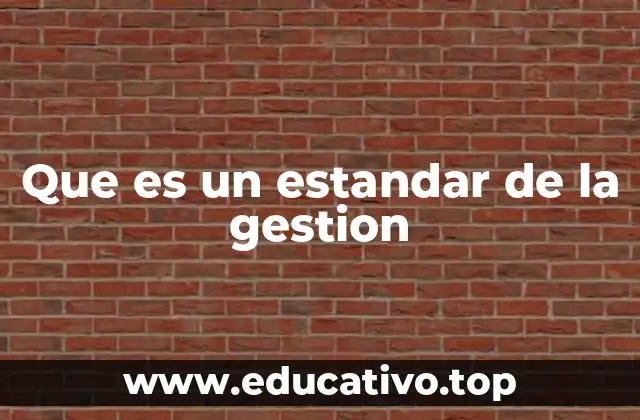 Que es un estandar de la gestion