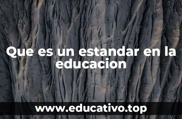 Que es un estandar en la educacion