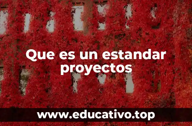 Que es un estandar proyectos