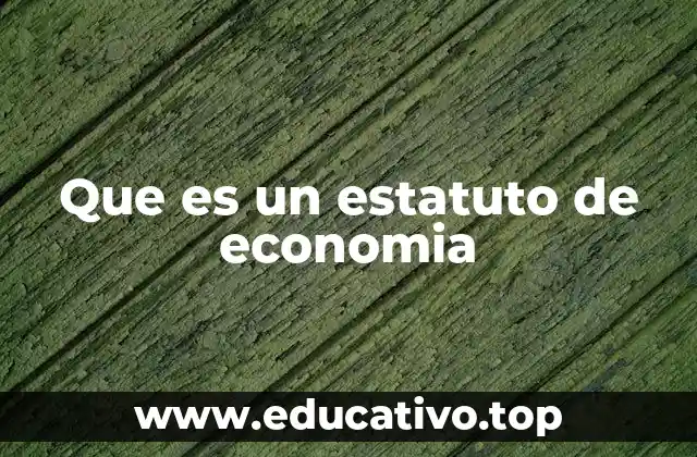 Que es un estatuto de economia