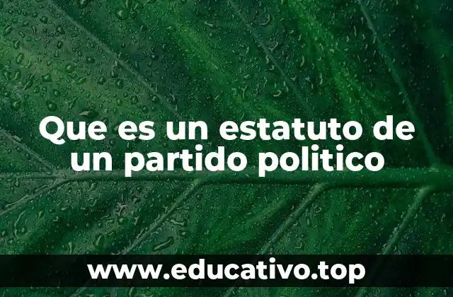 La importancia de los estatutos en la estructura partidista