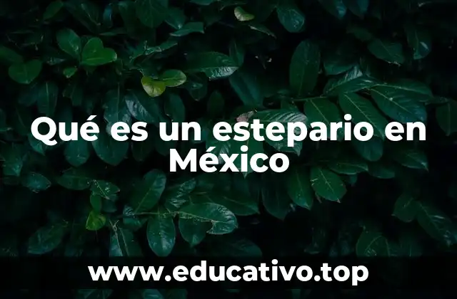 Qué es un estepario en México