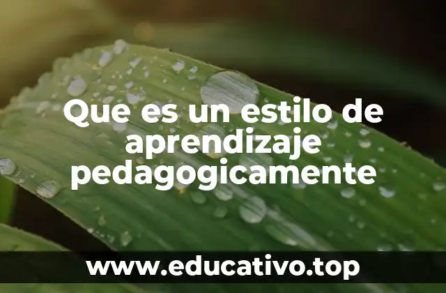 Que es un estilo de aprendizaje pedagogicamente