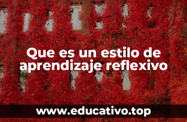 Que es un estilo de aprendizaje reflexivo