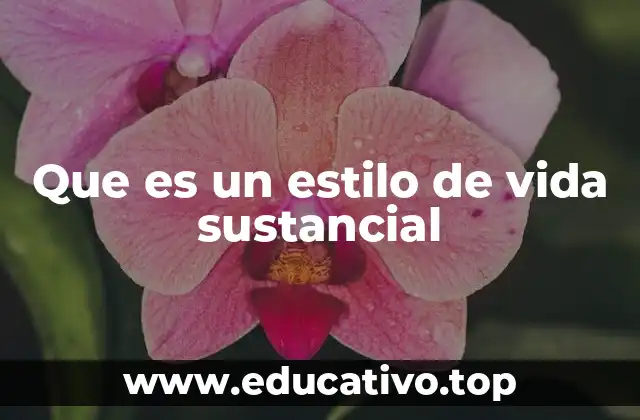 Que es un estilo de vida sustancial