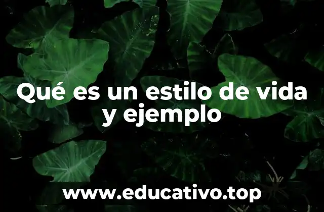 Qué es un estilo de vida y ejemplo