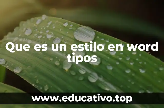 Que es un estilo en word tipos