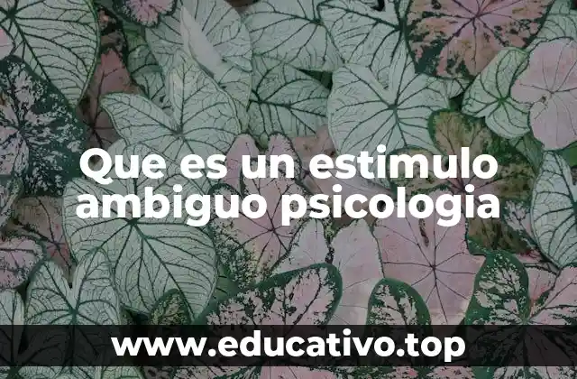 Que es un estimulo ambiguo psicologia