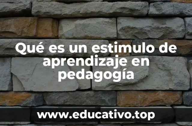 Qué es un estimulo de aprendizaje en pedagogía
