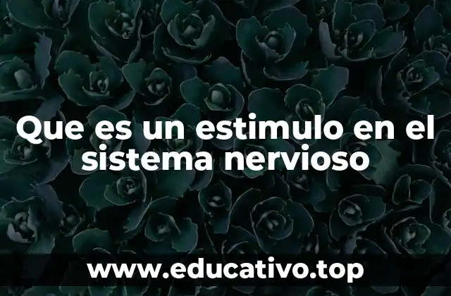 Que es un estimulo en el sistema nervioso
