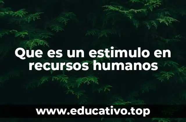 Que es un estimulo en recursos humanos