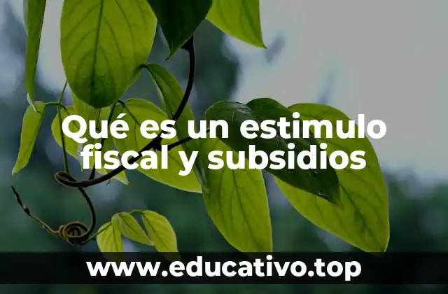 Qué es un estimulo fiscal y subsidios