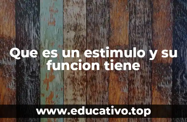 Que es un estimulo y su funcion tiene