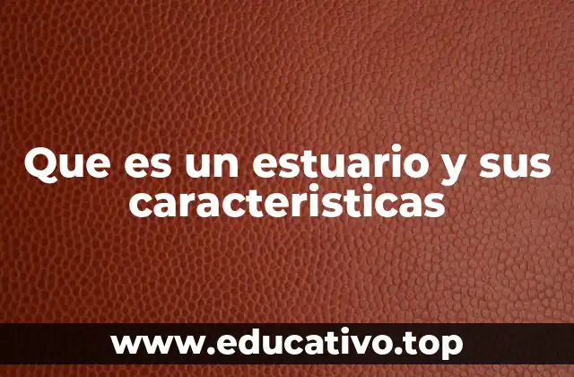 Que es un estuario y sus caracteristicas