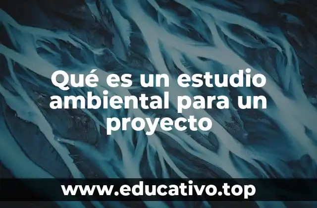 Qué es un estudio ambiental para un proyecto