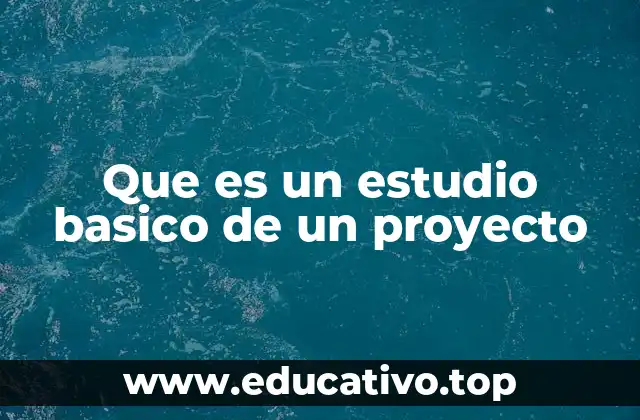 Que es un estudio basico de un proyecto