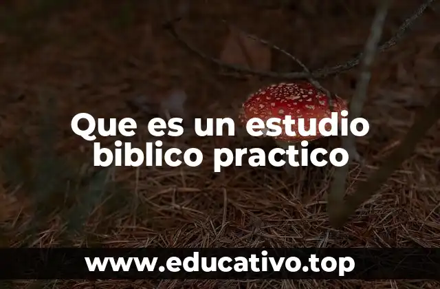 Que es un estudio biblico practico