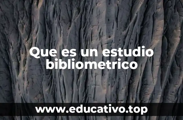Que es un estudio bibliometrico