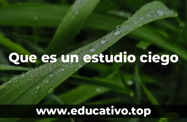 Que es un estudio ciego
