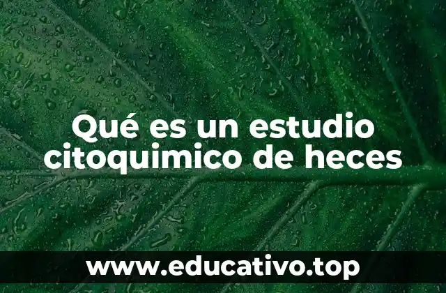 Qué es un estudio citoquimico de heces