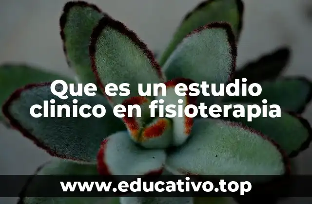 Que es un estudio clinico en fisioterapia