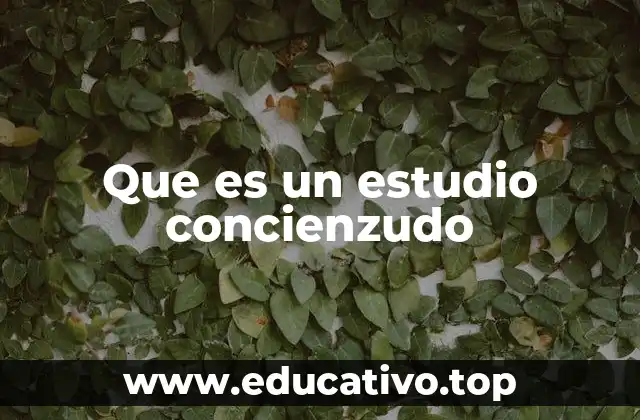 Que es un estudio concienzudo