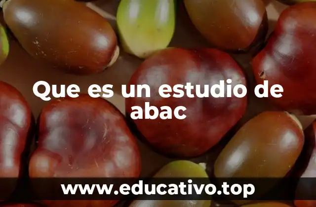 Cómo se diferencia un estudio de Abac de otras academias
