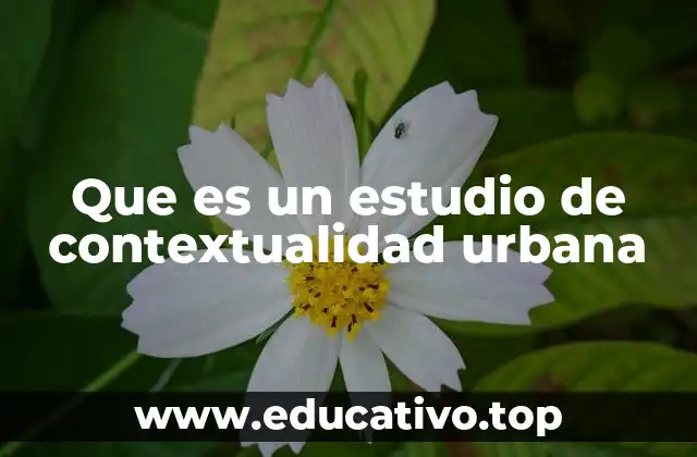 Que es un estudio de contextualidad urbana