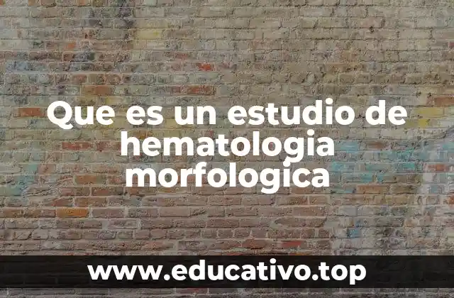 El rol del estudio morfológico en la medicina clínica