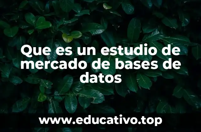 Que es un estudio de mercado de bases de datos