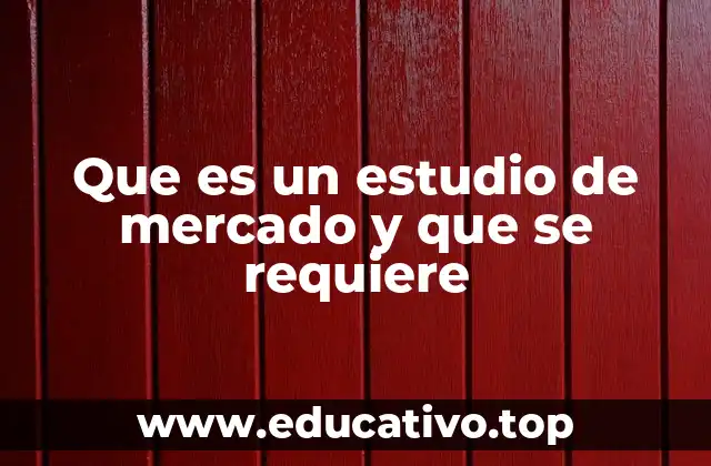 Que es un estudio de mercado y que se requiere
