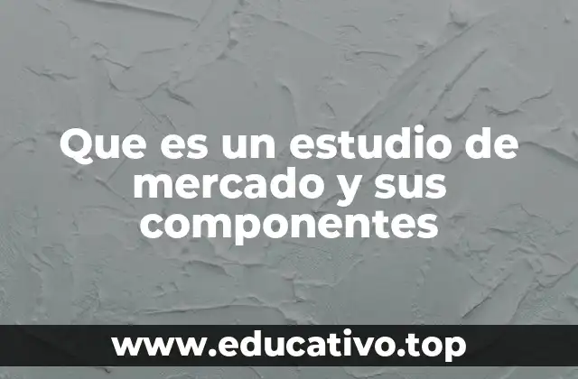 Que es un estudio de mercado y sus componentes