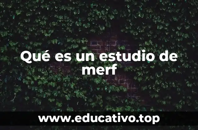 Qué es un estudio de merf