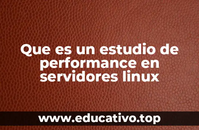 Que es un estudio de performance en servidores linux