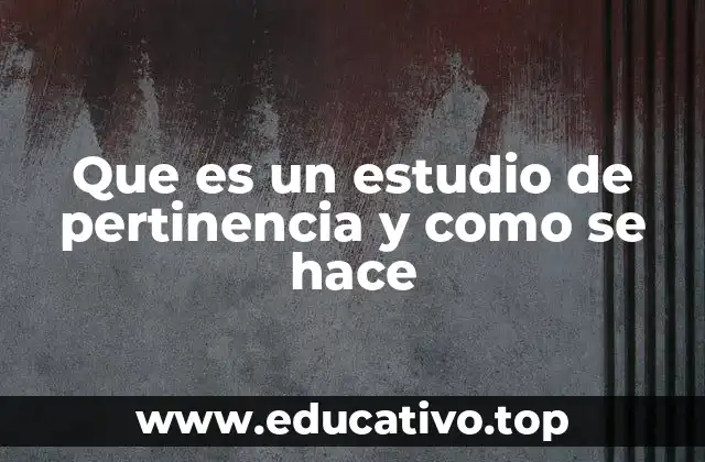 Que es un estudio de pertinencia y como se hace