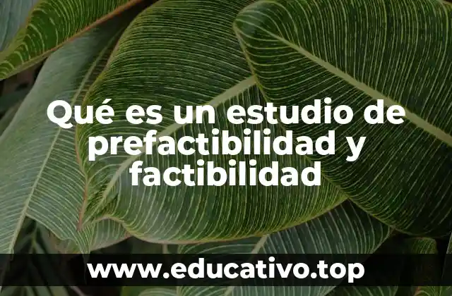 Qué es un estudio de prefactibilidad y factibilidad